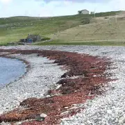 Airbnb holiday rentals in Whangamata