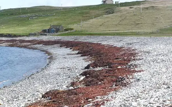 Airbnb holiday rentals in Whangamata