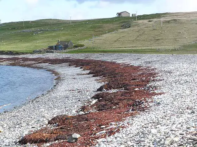 Airbnb holiday rentals in Whangamata