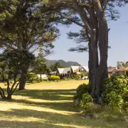 Book a bach in Whangamata