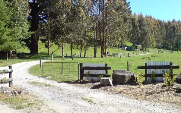 Hamilton to Whangamata route