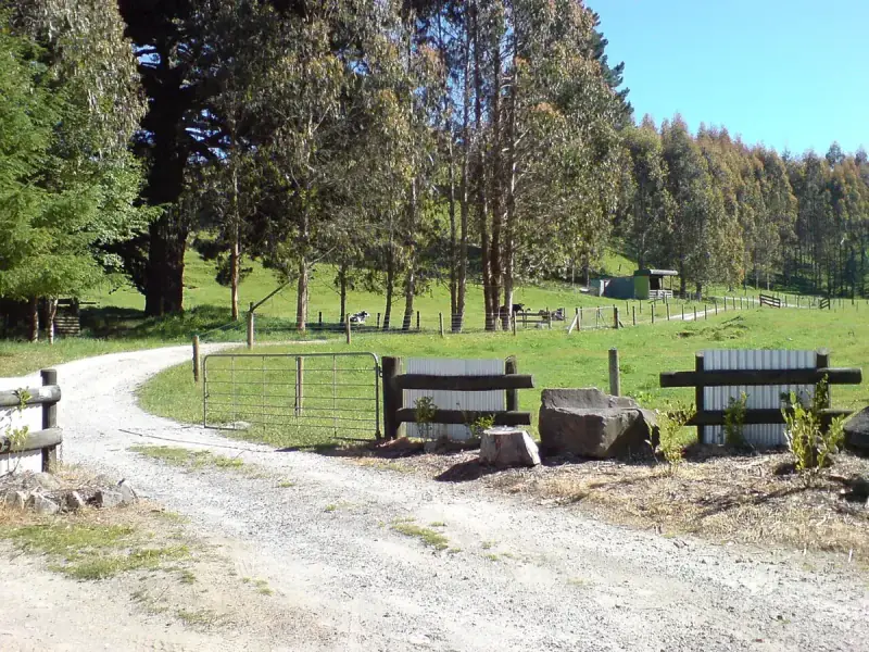 Hamilton to Whangamata route