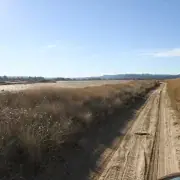 Opoutere Beach wildlife reserve