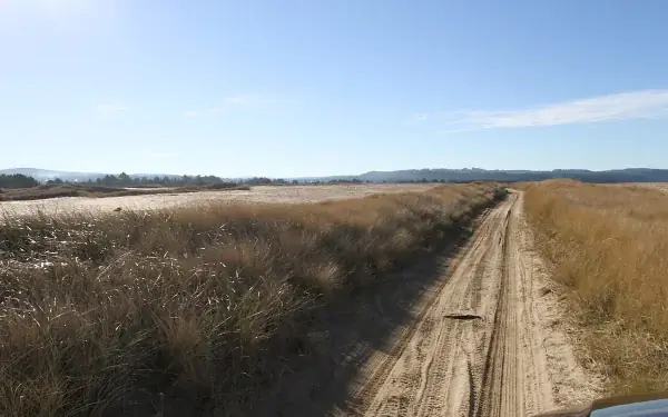 Opoutere Beach wildlife reserve