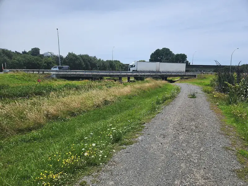 Tauranga to Whangamata driving route