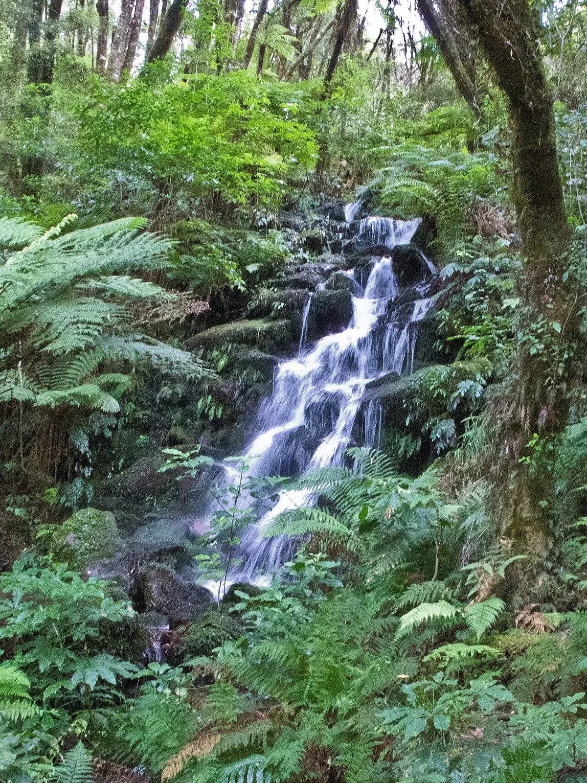 Wentworth Falls waterfall walk Whangamata Coromandel