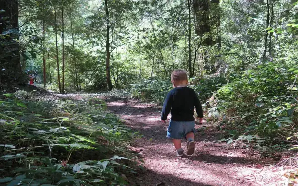 Cheap accommodation in Whangamata