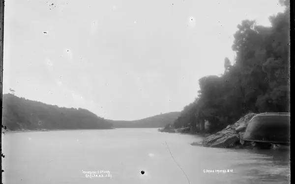 Whangamata Harbour and estuary