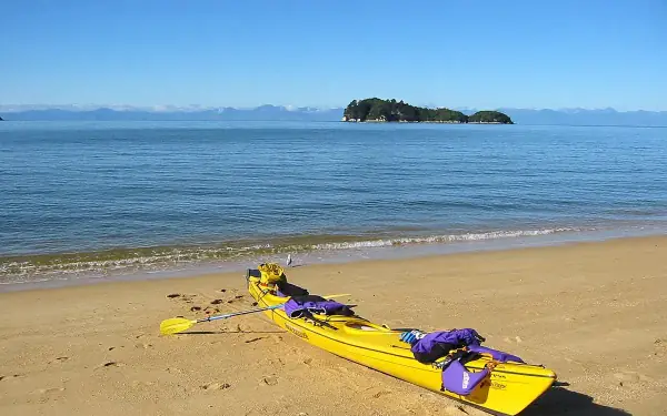 Kayaking in Whangamata harbour