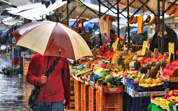 Whangamata weekend farmers market