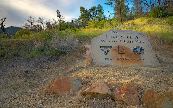 Whangamata mountain biking