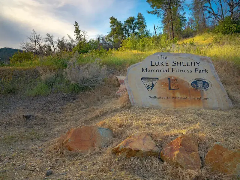 Whangamata mountain biking