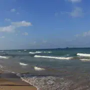 Whangamata surf cam live beach view