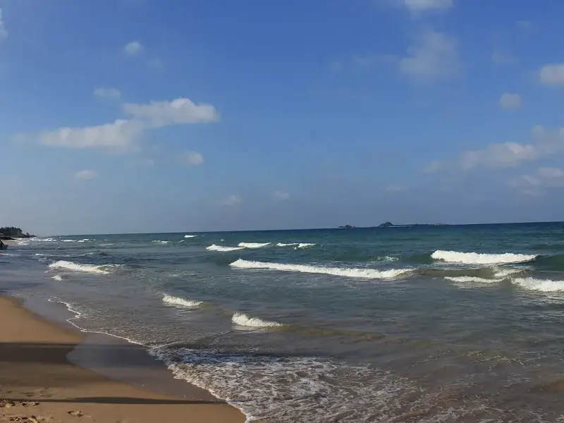 Whangamata surf cam live beach view