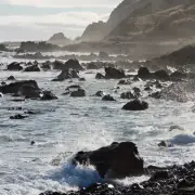 Whangamata surf forecast ocean swell