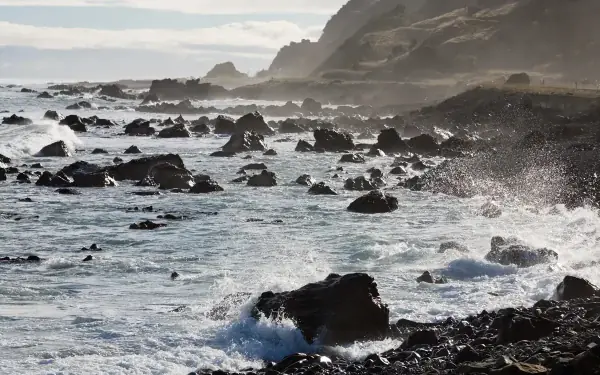 Whangamata surf forecast ocean swell