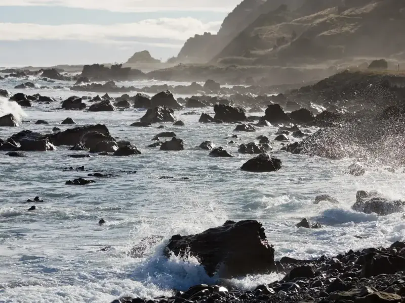 Whangamata surf forecast ocean swell
