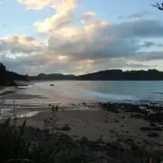 Whangamata surf report with wave conditions