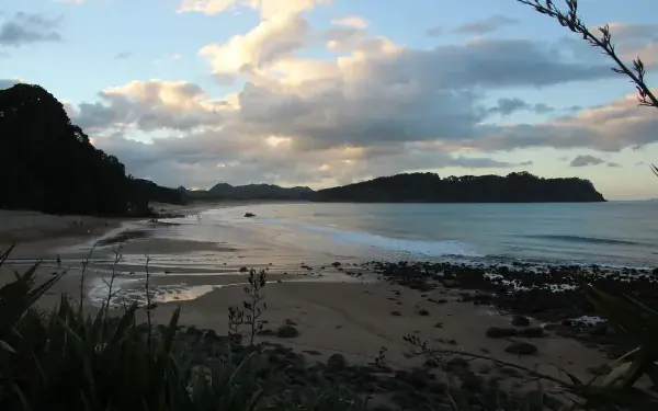 Whangamata surf report with wave conditions
