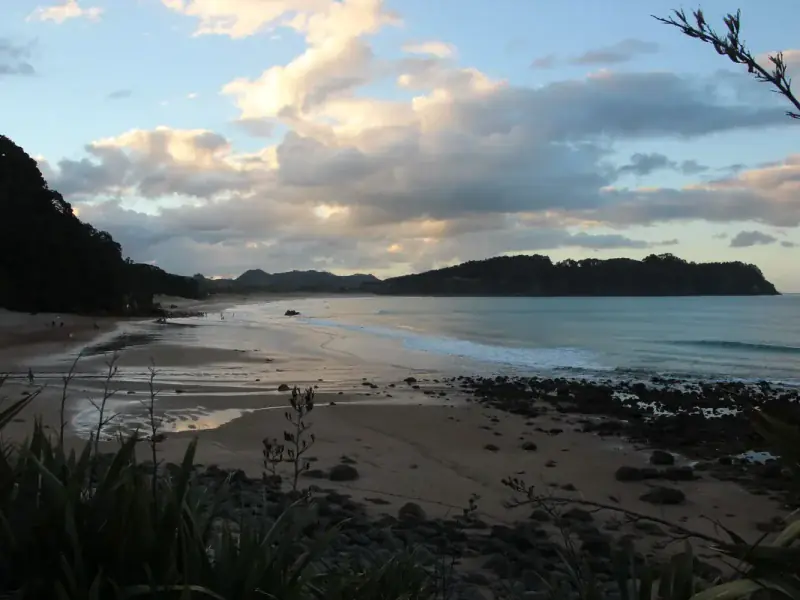 Whangamata surf report with wave conditions