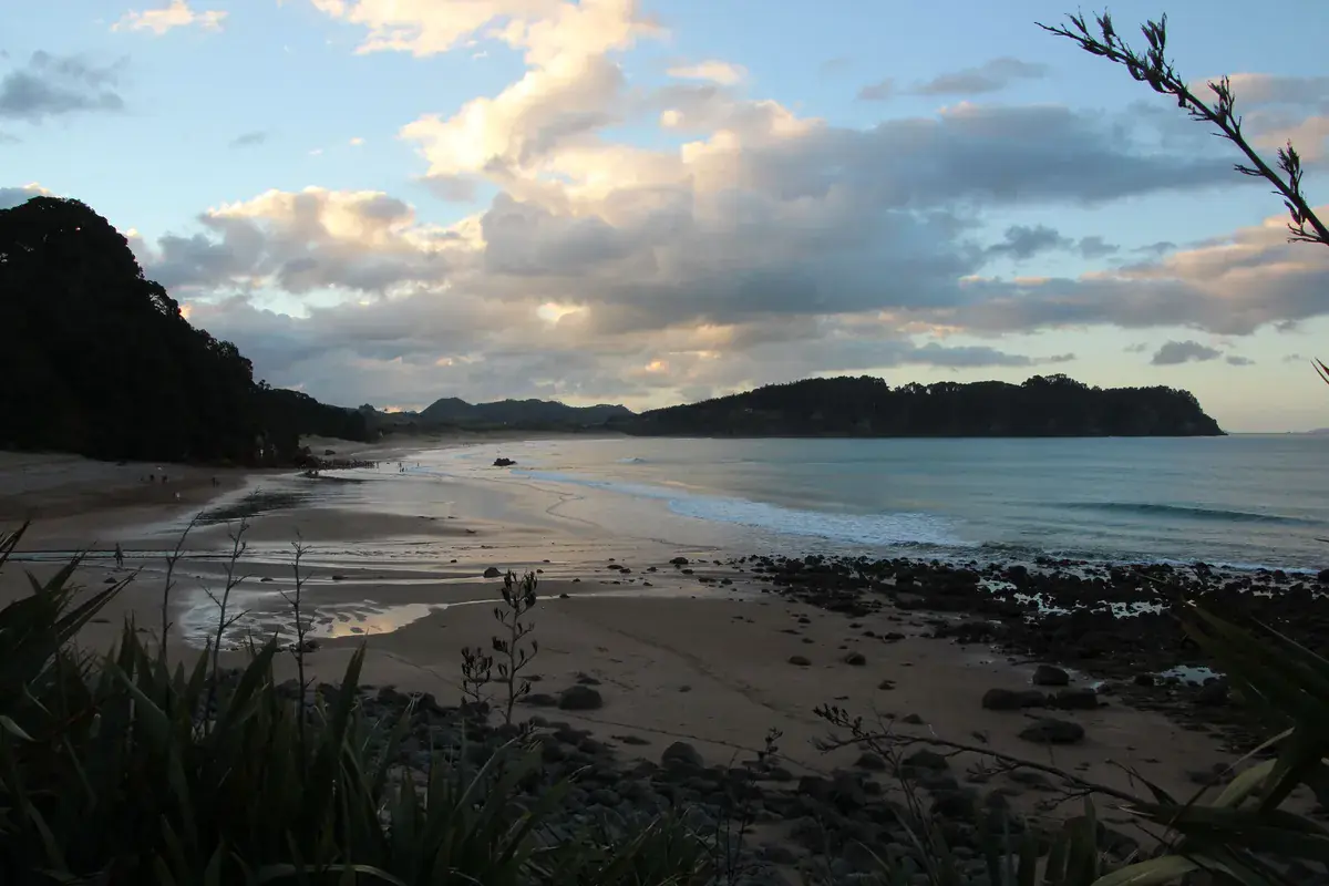 Whangamata surf report waves