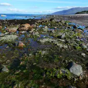 Whangamata tide times
