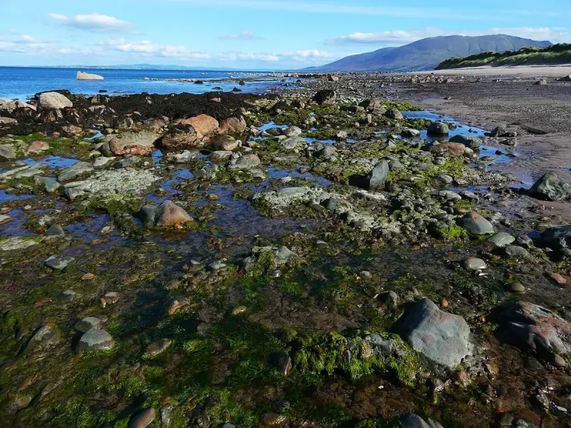 Whangamata tide times