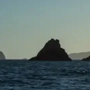 Hauturu Island and Whangamata Islands: Offshore Guide