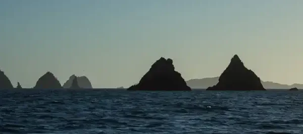 Hauturu Island and Whangamata Islands: Offshore Guide