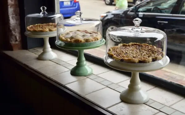 Paradise Bakery Whangamata: Pies, Pastries and Reviews