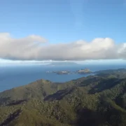 Patiki Reserve Whangamata: Coastal Walk and Nature Guide