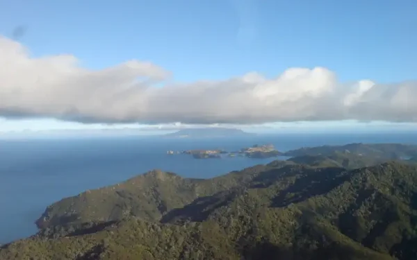 Patiki Reserve Whangamata: Coastal Walk and Nature Guide