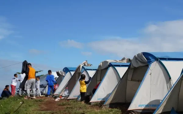 Whangamata Camping: Freedom Camping Rules and Sites