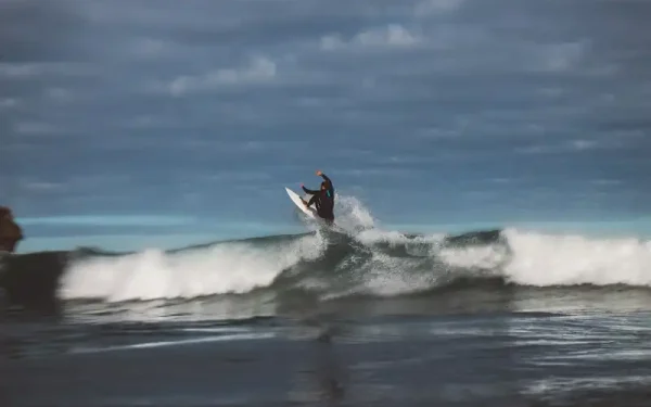 Whangamata Fishing Charters: Guided Trips and Deep Sea Fishing