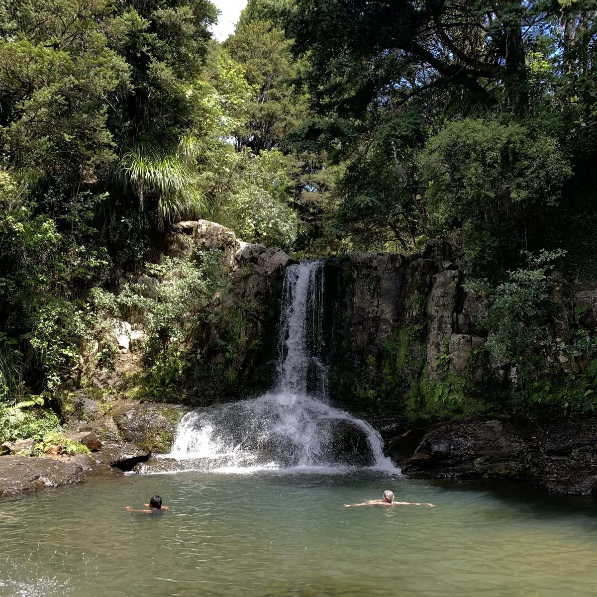 Waiau Falls Coromandel waterfall New Zealand