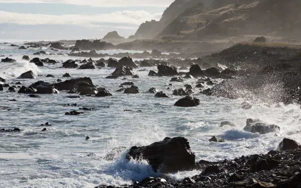 New Zealand coastal scenery Coromandel