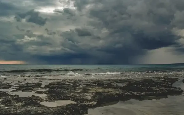 Whangamata braces for wild weather as coastal erosion intensifies and conservation efforts ramp up