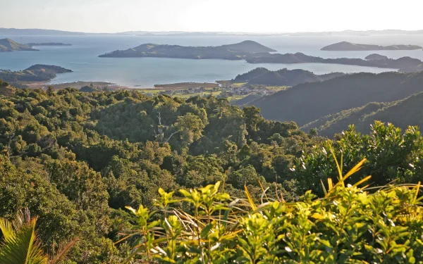 Winding coastal road along the Coromandel Peninsula on State Highway 25, New Zealand