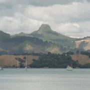 Motutere / Castle Rock volcanic plug rising above native forest on the Coromandel Peninsula, New Zealand