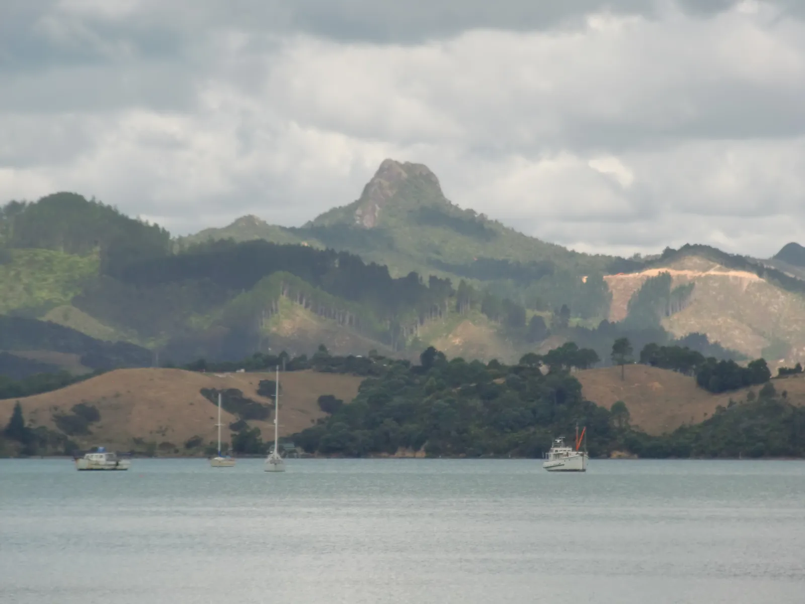 Motutere / Castle Rock volcanic plug rising above native forest on the Coromandel Peninsula, New Zealand