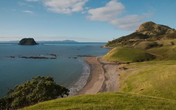 coromandel-coastal-walkway-fletcher-bay