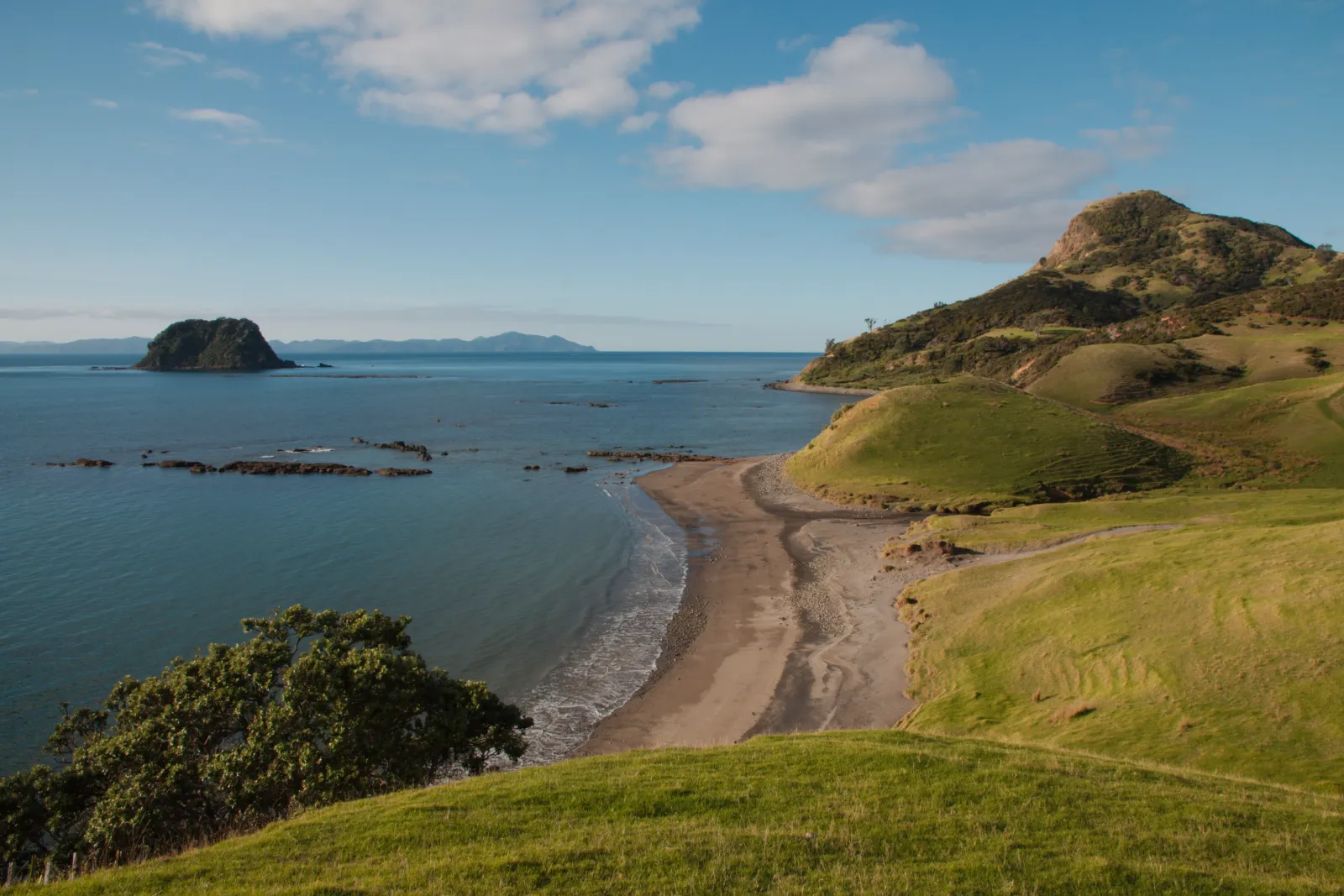 Rugged coastline along the Coromandel Coastal Walkway near Fletcher Bay