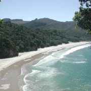 Golden sand and clear turquoise water at New Chums Beach, Coromandel Peninsula, New Zealand