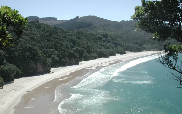 Golden sand and clear turquoise water at New Chums Beach, Coromandel Peninsula, New Zealand