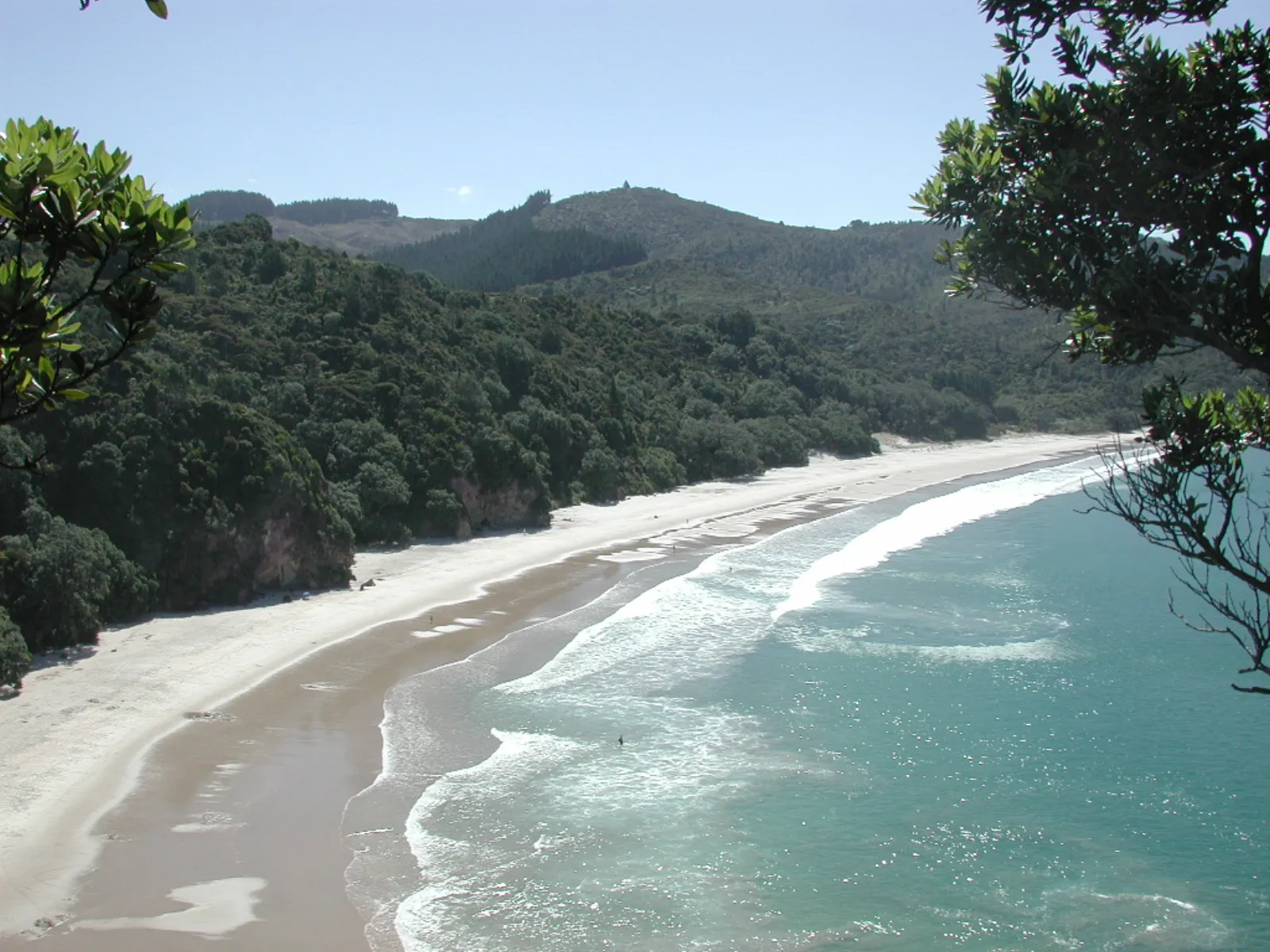 Golden sand and clear turquoise water at New Chums Beach, Coromandel Peninsula, New Zealand