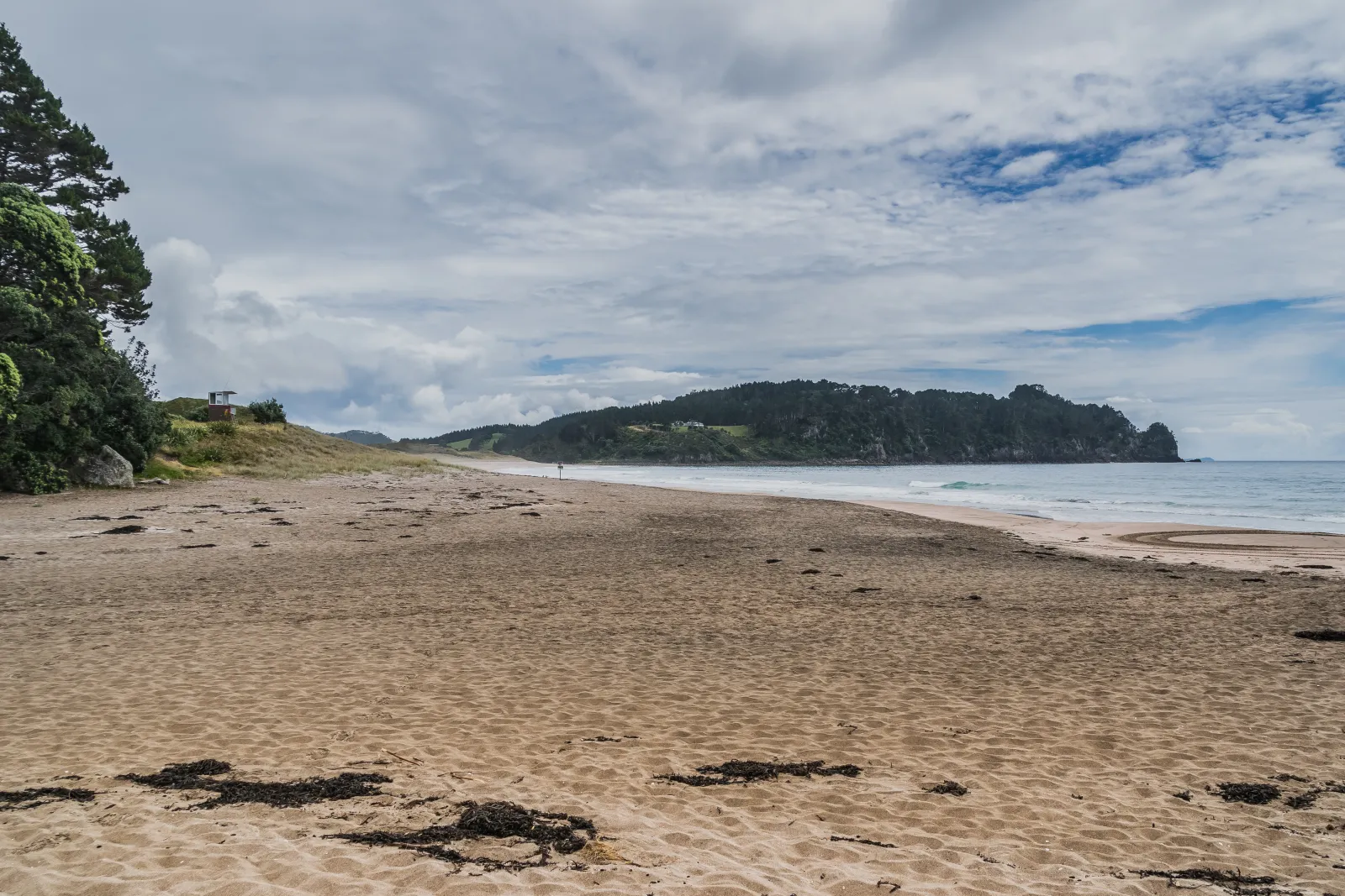 People digging spa pools in the sand at Hot Water Beach, Coromandel, New Zealand