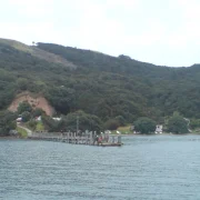Passenger ferry and wharf on the Hauraki Gulf near Coromandel Town, New Zealand