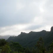 View from the Pinnacles summit over the bush-clad ridges of Coromandel Forest Park