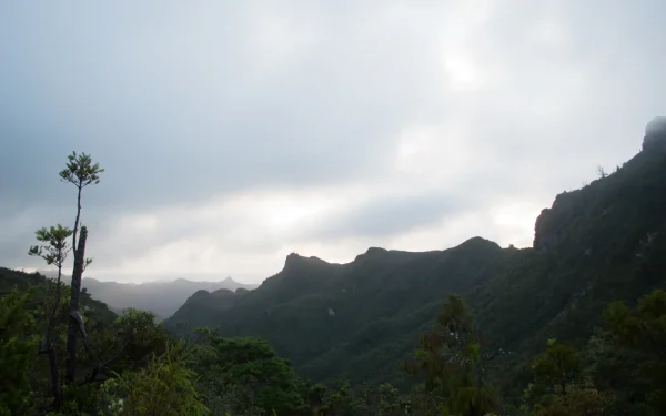 View from the Pinnacles summit over the bush-clad ridges of Coromandel Forest Park