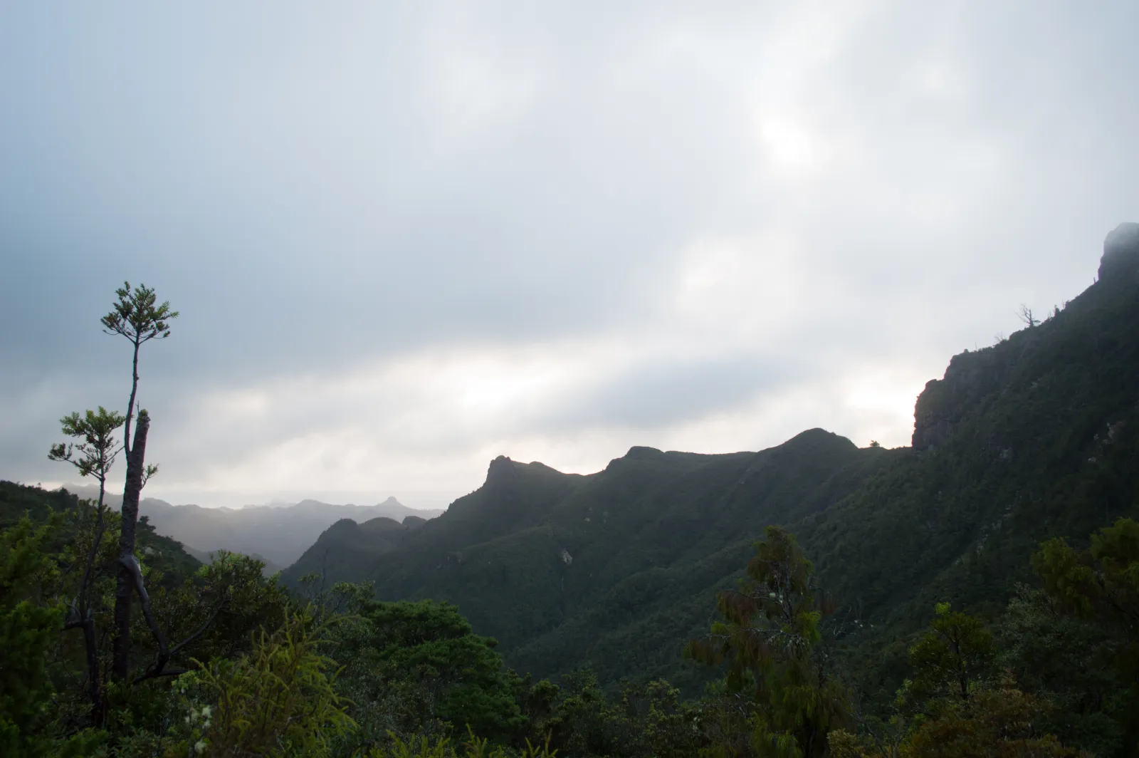 View from the Pinnacles summit over the bush-clad ridges of Coromandel Forest Park